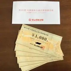 ビックカメラ　株主優待券　6000円分のサムネイル