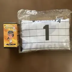 Item thumbnail for item 719e57f0-01f9-4519-9ca1-3e2e432fca51