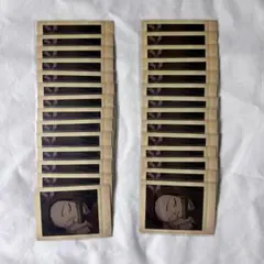 鬼滅の刃 竈門禰豆子 ぱしゃこれ 其ノ弐