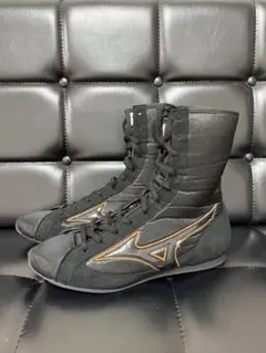 Item thumbnail for item 65be238a-4728-47c3-a6d1-c051d49a94df