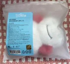 BOYNEXTDOOR WOONBABY キーリング