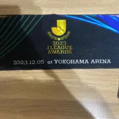 Item thumbnail for item 0fcc5be5-d066-4b56-8fc0-ecfab5fb9995