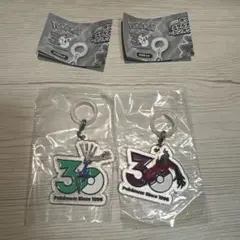 ポケモン　30周年メタルチャームマスコット　カロス　ゼルネアス　イベルタル