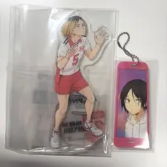 ハイキュー　孤爪研磨　アクリルスタンド　アクスタ　アクキー