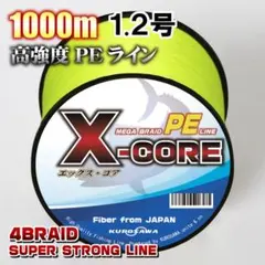 モモイ ハイキャッチ ナイロンライン 80ポンド1000m - メルカリ