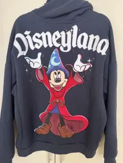 2026年最新】カリフォルニア ディズニー パーカーの人気アイテム