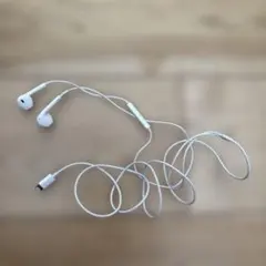 Apple EarPods with Lightning Connectorのサムネイル