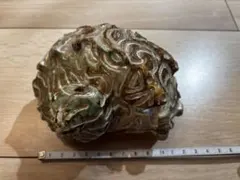 2026年最新】夜光貝オブジェ￼の人気アイテム - メルカリ