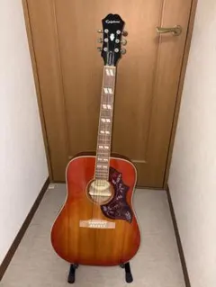 ☆美品レア☆Pearl・林楽器 Gibsonハミングバード レプリカ12弦ギター