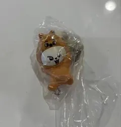 skzoo つまんでつなげてますこっと vol.2 リービット リノ