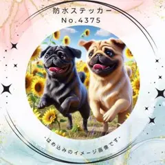 まろふく様 リクエスト 4点 まとめ商品