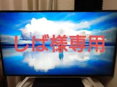 2025年最新】REGZA VODサービス：U-NEXT 液晶テレビの人気アイテム