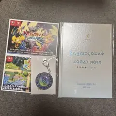 ポケモン ZA アートブック キーホルダー ポケモンセンター 特典