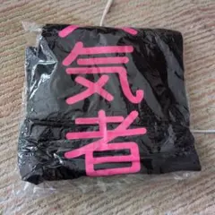 Item thumbnail for item 7ffce301-cbe3-412d-9b3e-de05f1d3e4b7