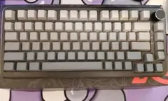 Item thumbnail for item 9b9d6325-e883-44a5-b681-1439706c8b41