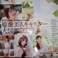 原色美人キャスター大図鑑 2015 - メルカリ