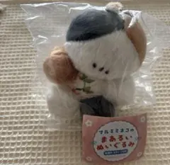 Item thumbnail for item 36dcff98-d2b2-4d6f-9fe9-8782a1e1b321