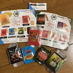 ◉湖池屋 シャカシャカチャーム 5つセット Y