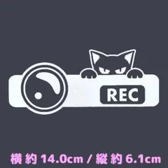 カッティングステッカー　『 ドラレコと覗きネコ 』　白色　光沢あり