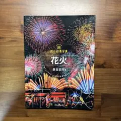 夜の絶景写真 花火編