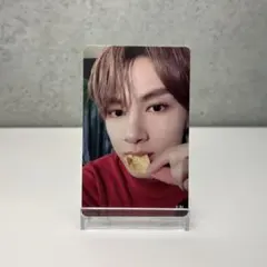 seventeen セミコロン HMV特典 ジュン トレカ