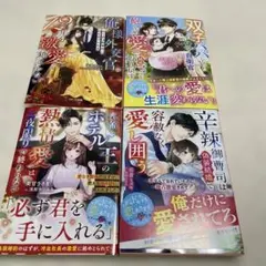 ベリーズ文庫4冊セット　25年11月発売
