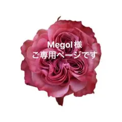 ご専用ページです