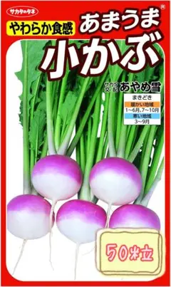 ゾラ様 リクエスト 3点 まとめ商品