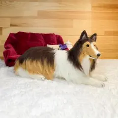 さら様専用です