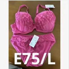 新品 ワコール ブラセット E75 L 値下げ