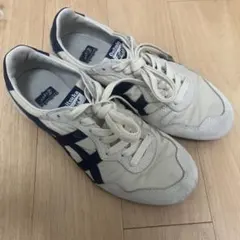 Item thumbnail for item b9d7941c-0512-4863-90ba-249ff17f8252