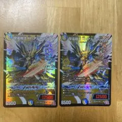 聖霊超王 H・アルカディアス ハイパーアルカディアス 2枚 - メルカリ