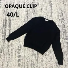 オペークドットクリップ 長袖 クルーネックニット L 黒 コットン シンプル