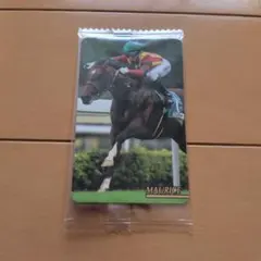 まねき馬 今村聖奈 No.J-337 未開封カード - メルカリ