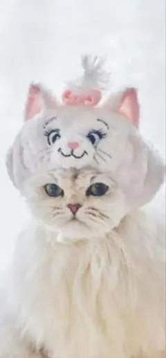 Item thumbnail for item 3269ce74-0725-437d-8317-971d1ee85b76