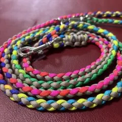 Item thumbnail for item a6e0ae1d-294f-4008-9615-3d3f49e30262