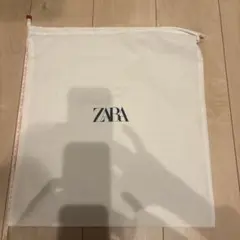 値下げ　ZARA ショッパー　約42×38センチのサムネイル