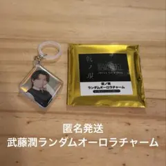 原因は自分にある。　仮ノ現　グッズ　武藤潤　ランダムオーロラチャーム　げんじぶのサムネイル