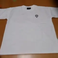 DOGTOWN ドッグタウン Tシャツ 白 スケートのサムネイル
