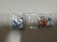 ポケモン メタルチャームマスコット 30周年 めじるしアクセサリー 2種セット