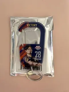 Item thumbnail for item aeab16e2-ac96-4ea2-9db2-28d402e04db2