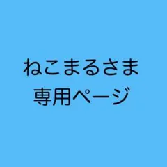 ねこまるさま専用　オーダー1点