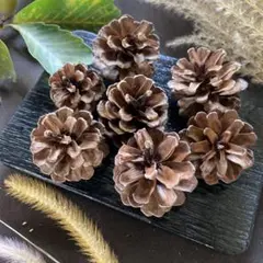 Item thumbnail for item a3246188-dc4c-40d0-9bd5-22136bd58a3f