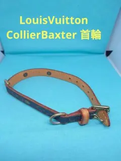 LouisVuitton CollierBaxter 首輪 小型犬 中古品のサムネイル