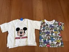 Item thumbnail for item c8101c7e-272b-44d0-ac64-dbce58ddeb29