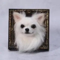 チワワ 羊毛フェルト ハンドメイド 犬 ぬいぐるみ 額縁 フレーム 写真