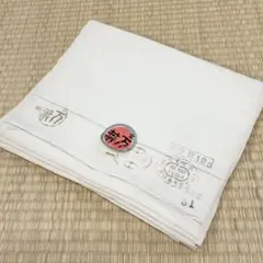 Item thumbnail for item e314381a-d9c8-48e0-9e0f-959581833775