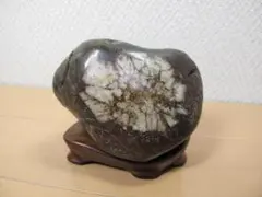 2026年最新】水石 菊花石の人気アイテム - メルカリ