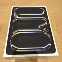 Apple iPad Pro 11インチ　M4 256GB Wi-Fi