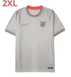 NIKE palace イングランド ナイキ サッカー ワールドカップ パレスのサムネイル
